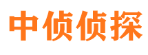 漾濞市调查公司